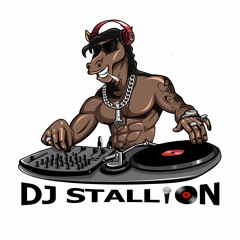 DJ STALLION