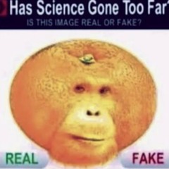 the real sigma