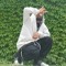 matin_si