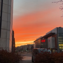 Matthew Stewart 🐺