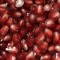 Searching4TheSound