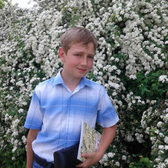 pluxury2007