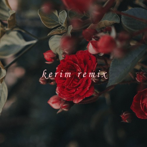 Kerim Remix’s avatar