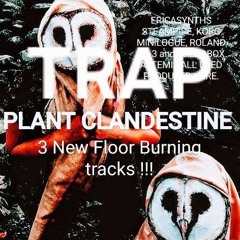 S.M. Plant