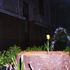 M.KOZI