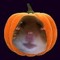 Pumpst3r