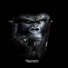 Неизвестный Исполнитель