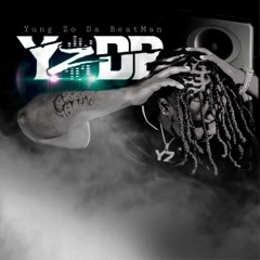 YZDB