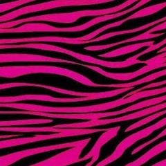 ripdmv