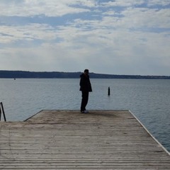 nenad kajgana
