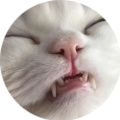 I lied my name isn't actually Kale