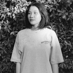 Chi Lieu