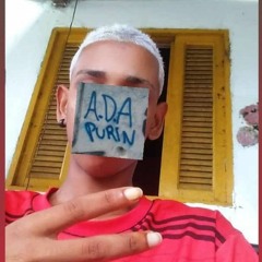 playboy