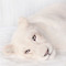 mjg_29