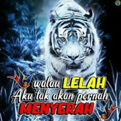 Deny Saputra