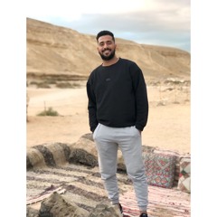 Ahmed Elghamazy