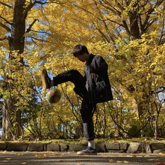 Naoto Fujisawa
