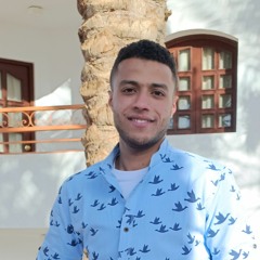 Ahmed Nasser