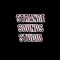 Strange Sounds Studio