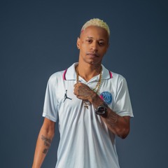 Mc Maurinho De Fabri