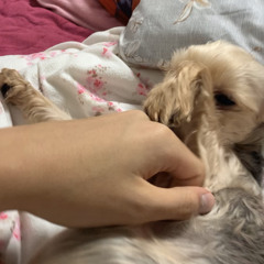 정지민