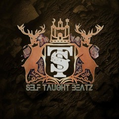 selftaughtbeatz2026