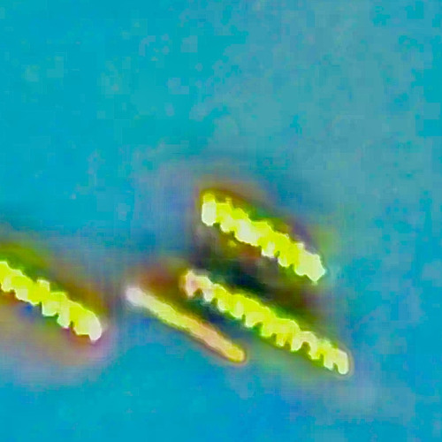 we may have some regrets