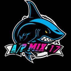 [A/P•MIX]17