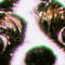 Balaclava