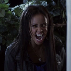 KLM GRAND MASTER SPLINTER