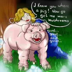 SNIFFY PIGG GANG