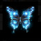 butterNfly