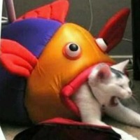 Shishamo 中庭の少女たち By Scummy Dummy