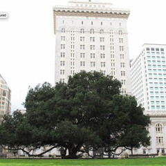 The Oakland Public Commons