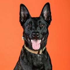 Underfate- We Are All the Naive Wanderers (rework: Cinematic/Dark Ambient – Mix, Master & Production Enhancements)