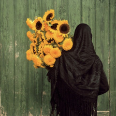زِيف