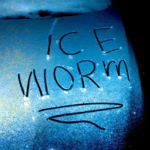 Ice Worm (quarter)