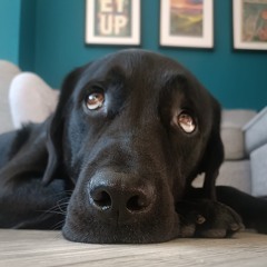 Jake
