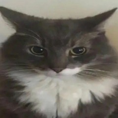 maitopurkki