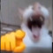 Reylin Bossシ