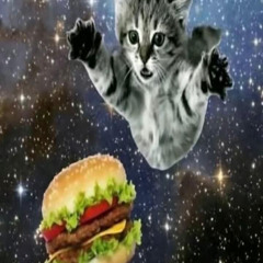 ilovecats