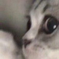 항상