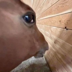 <3 </3 <3