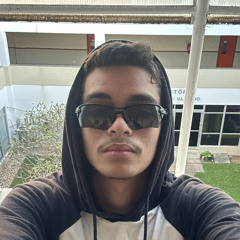 silvxzz