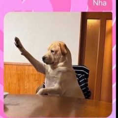 Lê Đình Vũ