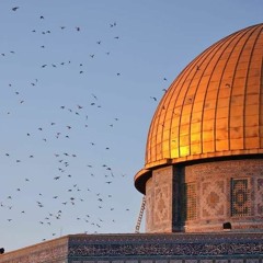🤍ورود غفر الله لها