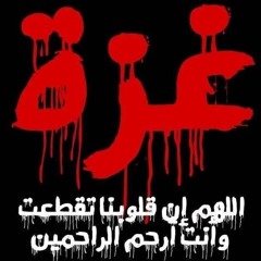 فاطمة نحال