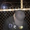 trbld boy archive