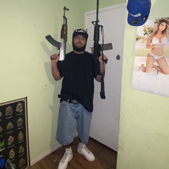 Pi$tolP760