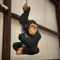 Million Monkeys Theory